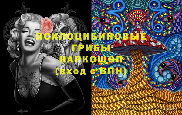 сатива Алексеевка
