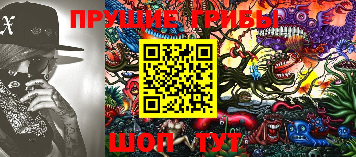 Псилоцибиновые грибы Cubensis Глазов