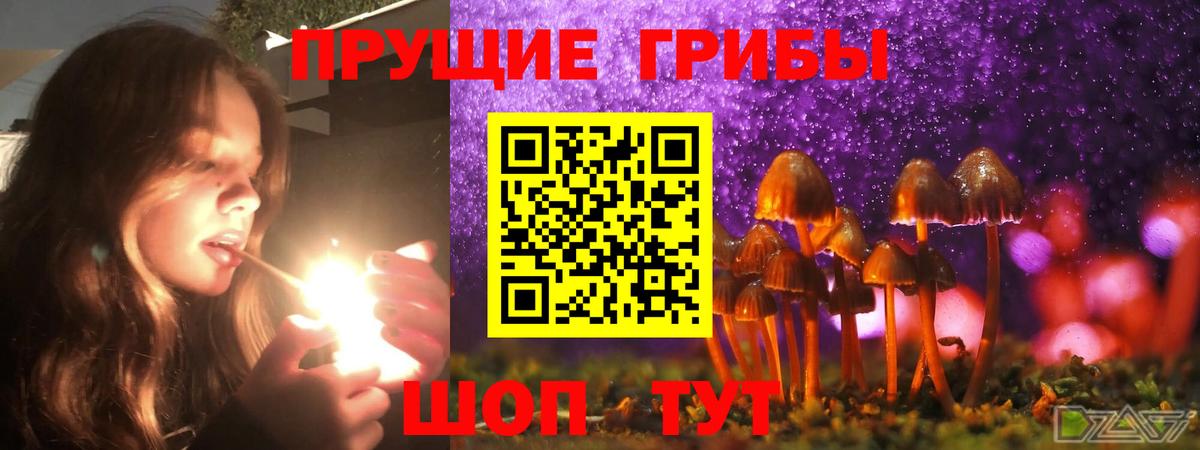 Псилоцибиновые грибы прущие грибы  Вход с VPN  Глазов  купить наркотик  Псилоцибиновые грибы Psilocybe 